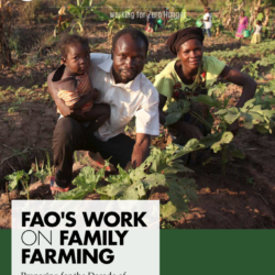 FAO Work on Family Farming