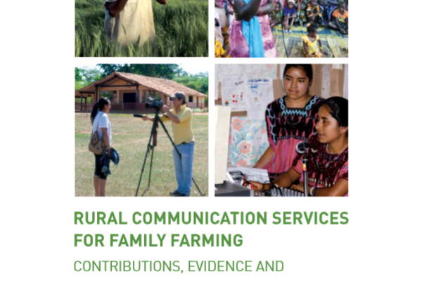 Rural Communication Services: Contributions, Evidence, and Perspectives
