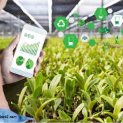 Asia–Pacific region’s vulnerability to COVID-19 pandemic speeds up adoption of digital tech in agrifood systems