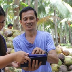 SMS as an Inclusive Tool in Knowledge Sharing in Agriculture in the Philippines