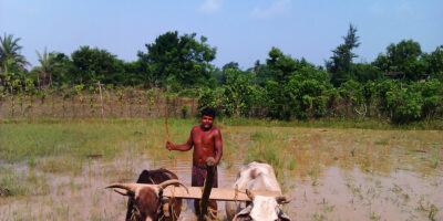Farmers in Odisha use radio as main source of agricultural information