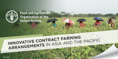 Innovative Contract Farming Arrangements in Asia and the Pacific