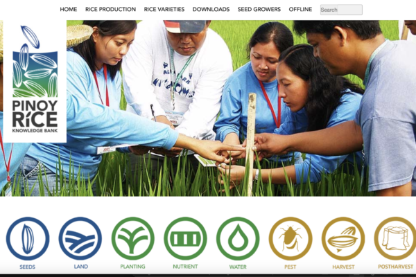 Filipino Farmers & AEWs benefit on ICTs for Rice Technologies