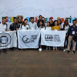 Young Farmers call for solidarity in recognizing the role of the youth in rural development and sustainable food systems