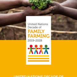 UN launched Global Action Plan for Decade of Family Farming