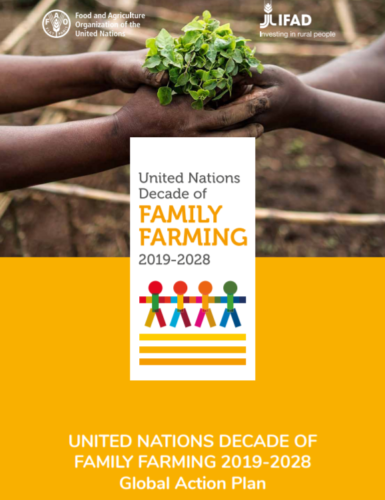 UN launched Global Action Plan for Decade of Family Farming