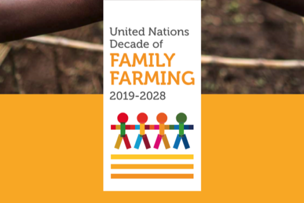 United Nations Decade of Family Farming 2019-2028 Global Action Plan