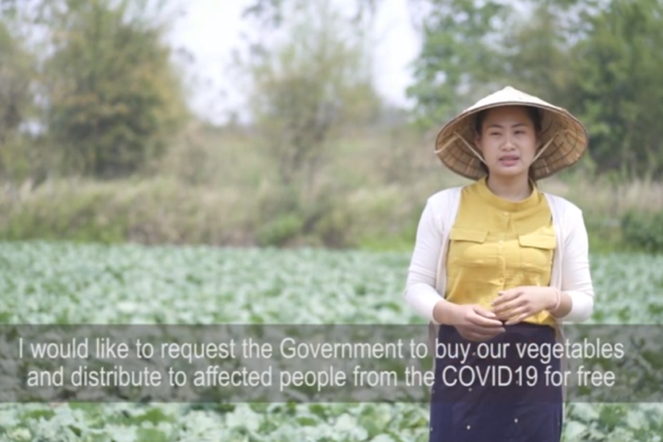 Impact of COVID-19 for small holder farmers in Laos