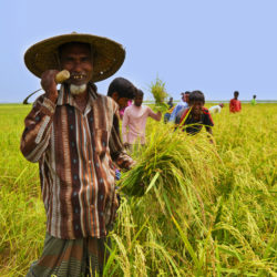 Mobile phone's usefulness among farmers in Southern Bangladesh