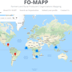 FO-MAPP: An Interactive Online Database in Mapping Farmers' Organizations