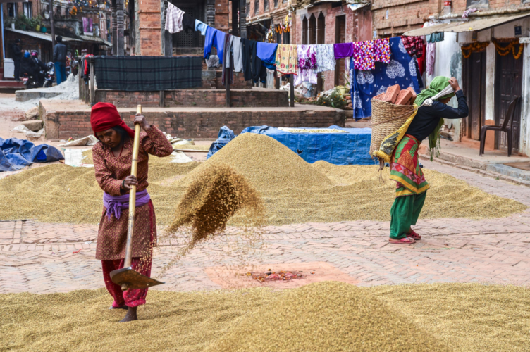 CSA shows potential to help women farmers in Nepal