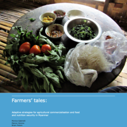 Adaptive strategies of smallholder farming households for agriculture commercialization and food and nutrition security in Myanmar