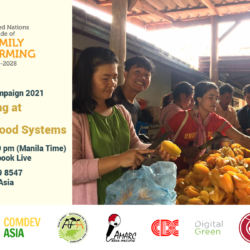 UNDFF CDA to Launch Campaign Promoting the Role of Family Farmers to Sustainable Food Systems