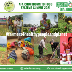 Asian Family Farmers Declaration for the UN Food Systems Summit 2021