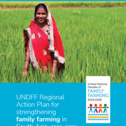UNDFF Regional Action Plan for strengthening family farming in South Asia 2021–2028
