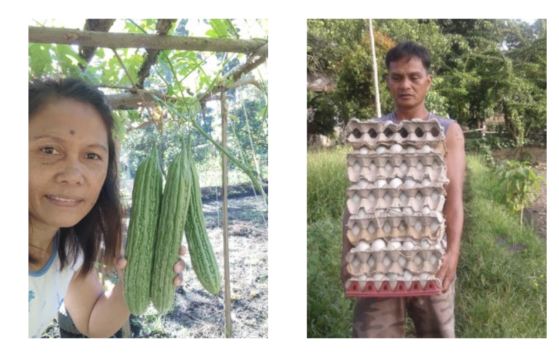 Abundance in sustainability: Dante and Aming’s journey in Integrated Diversified Organic Farming System