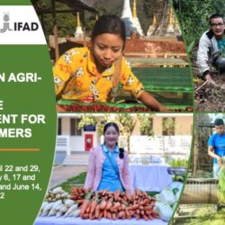 Regional Webinar on Agri-Forest Enterprise Development for Young Farmers