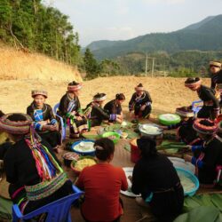 Empowering Communities and Addressing Farming Challenges through Cooperatives in Vietnam