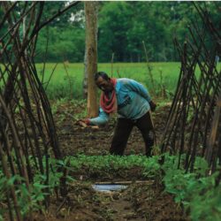 Thai Farmers Surveyed on New Agricultural Technologies