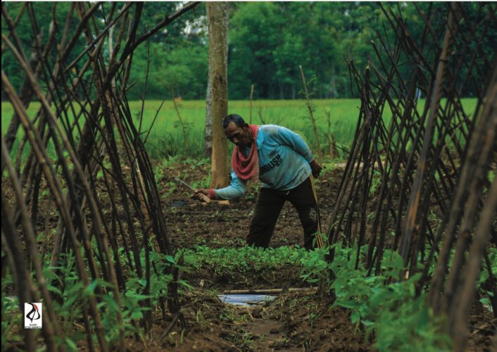 Thai Farmers Surveyed on New Agricultural Technologies