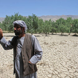 Afghan Smallholder Farmers Affected by Drought, Earthquake to Receive Assistance