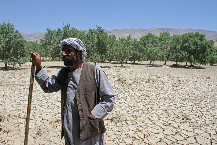 Afghan Smallholder Farmers Affected by Drought, Earthquake to Receive Assistance