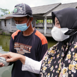 Women farmers benefited from mobile app project in Indonesia