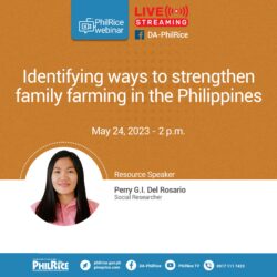 PhilRice to host webinar on strengthening family farmers on May 24