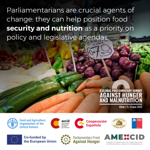 Second Global Parliamentary Summit against hunger and malnutrition opens in Chile