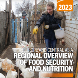 Food insecurity in Central Asia decreasing - FAO report