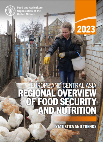 Food insecurity in Central Asia decreasing - FAO report