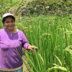 Role of women in agri highlighted in PH radio initiative episode