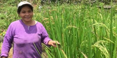 Role of women in agri highlighted in PH radio initiative episode