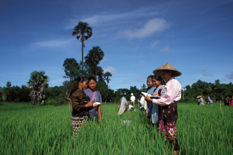 Asian women in agriculture to reap grants from int’l bank