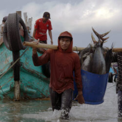 Fisherfolks' plights highlighted in Rural Radio Initiative episode from Indonesia