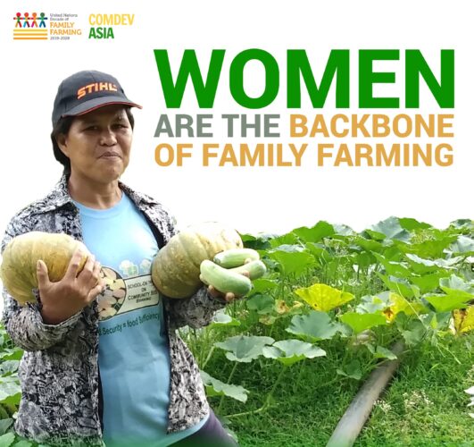 FAO welcomes the celebration of the International Year of the Woman Farmer in 2026