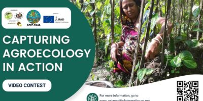 Call for entries for AFA’s Capturing Agroecology in Action video contest