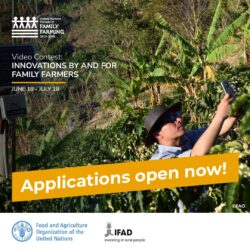 FAO launches Innovations for and by Family Farmers Video Contest 2024